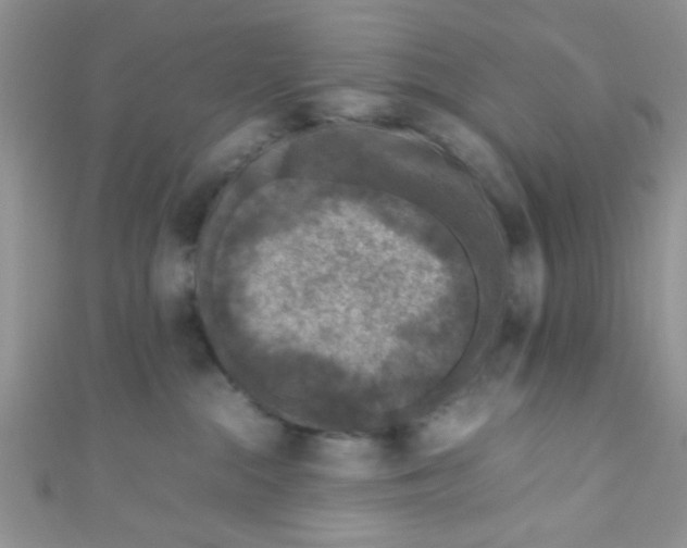X0000111010284200907171841