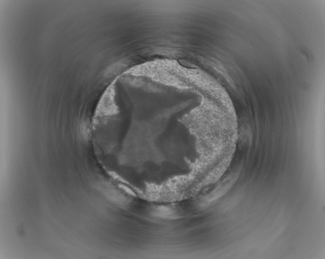X0000111010285200907171841