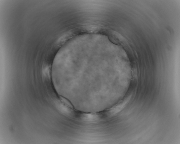 X0000111010286200907171841