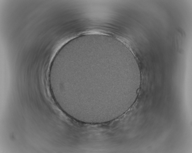 X0000111010289200907171840
