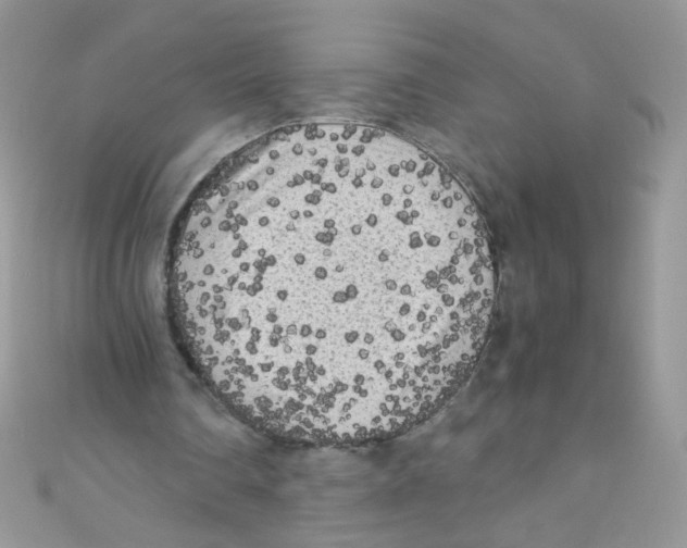 X0000111010290200907171840