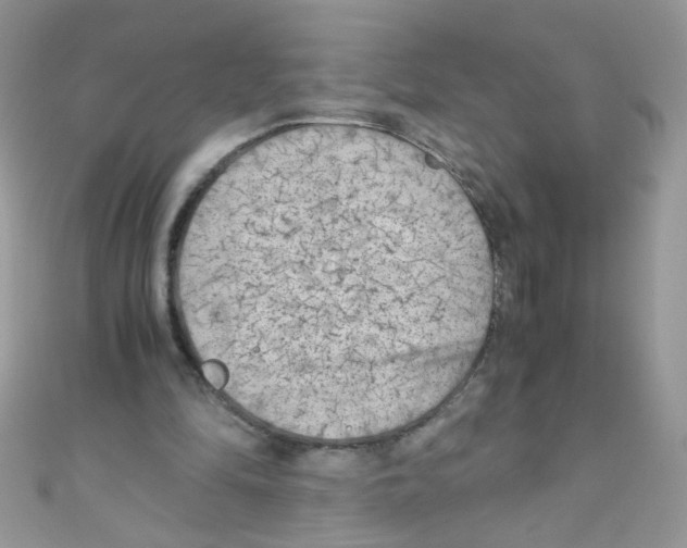 X0000111010294200907171840