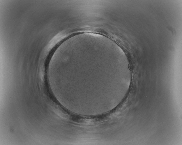 X0000111010295200907171840