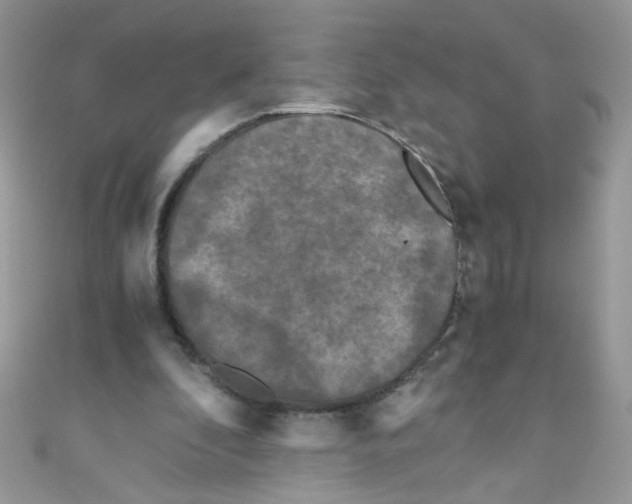X0000111010296200907171840