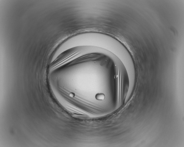 X0000111010297200907171840