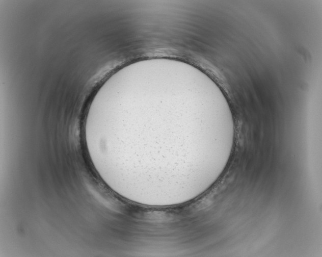X0000111010298200907171840