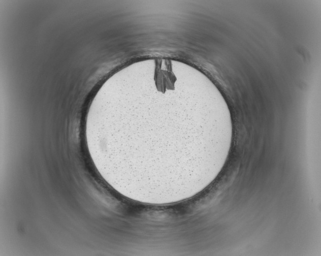 X0000111010299200907171840
