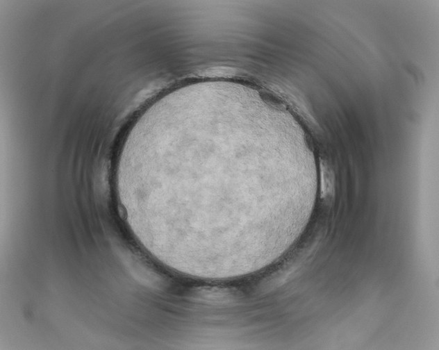 X0000111010300200907171840