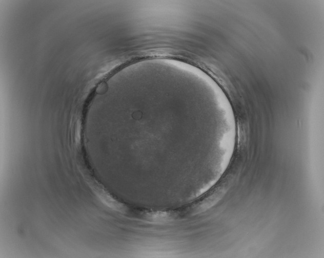 X0000111010301200907171840