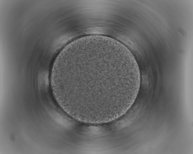 X0000111010302200907171840