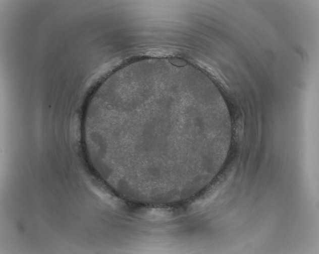 X0000111010303200907171840