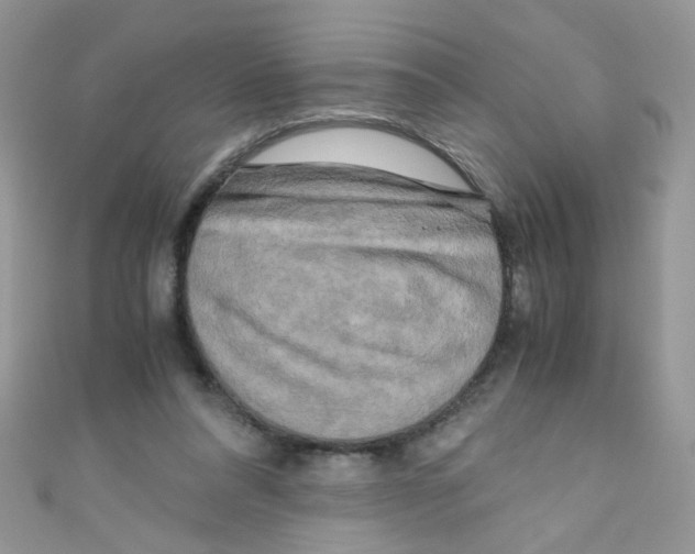 X0000111010304200907171840
