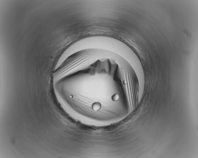 X0000111010309200907171840