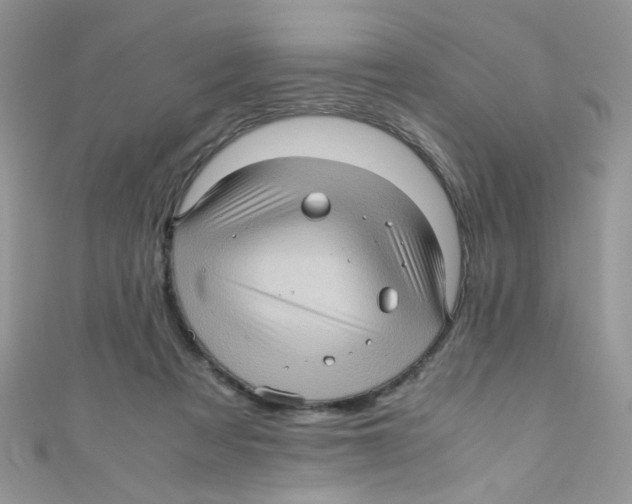 X0000111010313200907171840