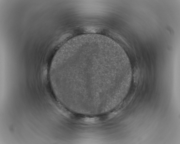 X0000111010314200907171840