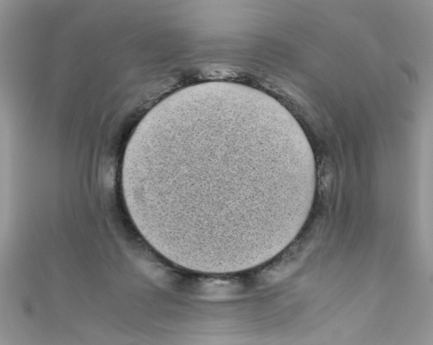 X0000111010315200907171840