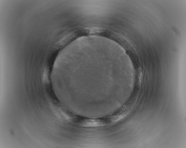 X0000111010316200907171840