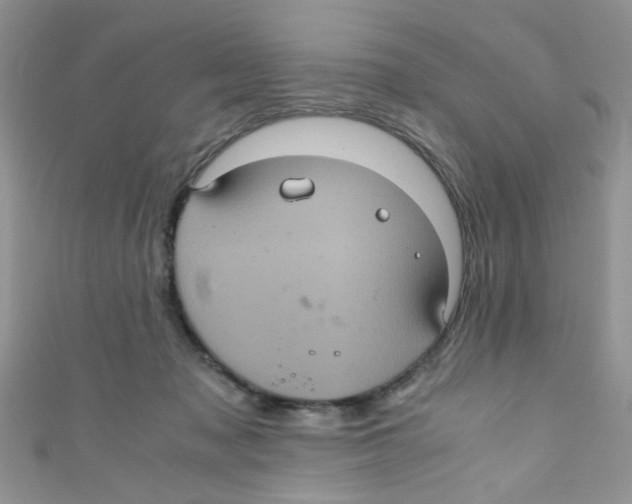 X0000111010317200907171840
