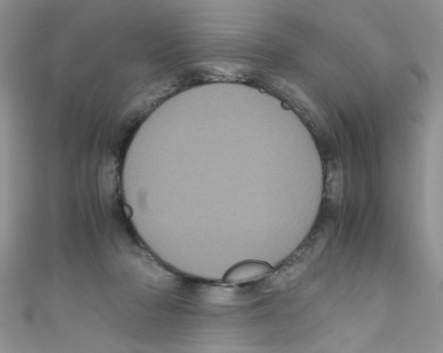 X0000111010318200907171840