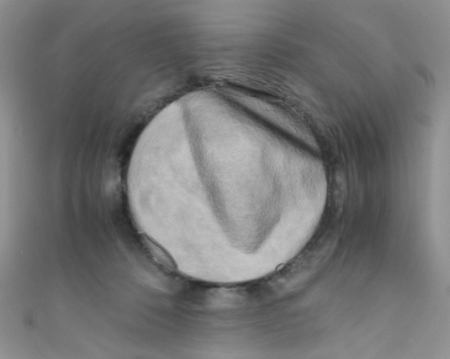 X0000111010320200907171840