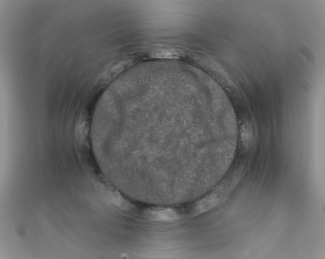 X0000111010322200907171840
