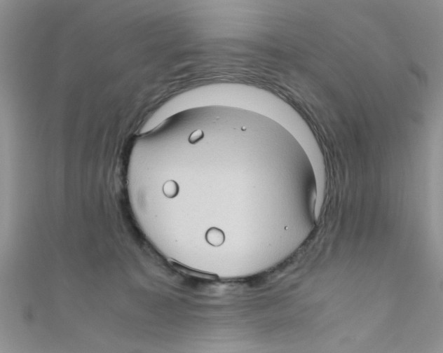 X0000111010323200907171840