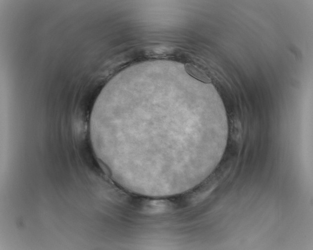X0000111010324200907171840