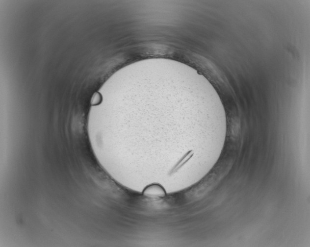 X0000111010326200907171840