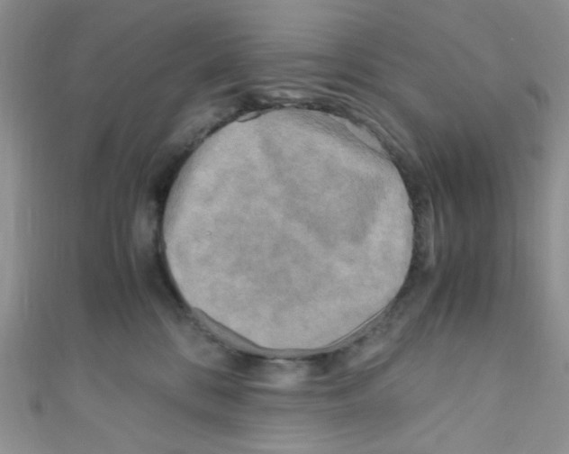 X0000111010328200907171840