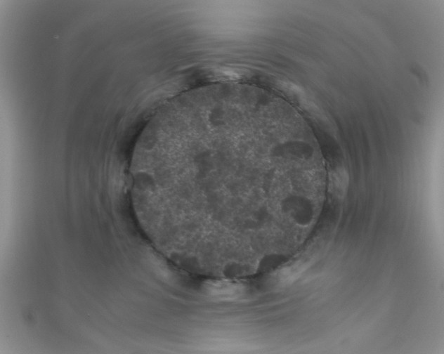 X0000111010331200907171840