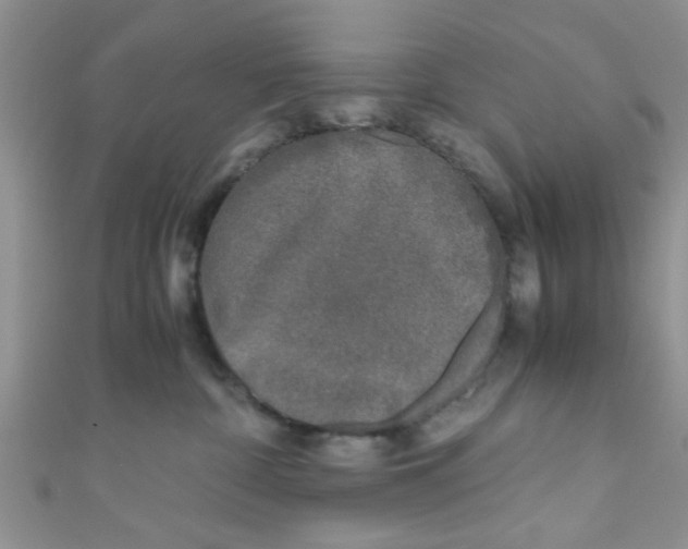 X0000111010332200907171840