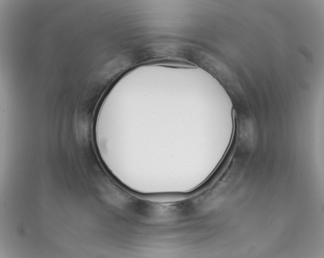 X0000111010333200907171840