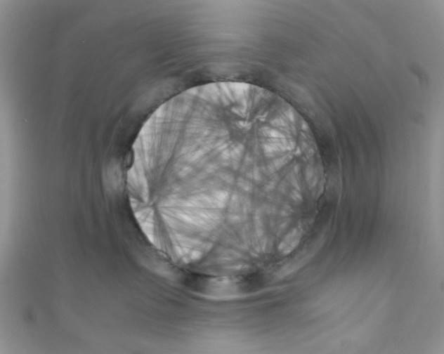 X0000111010335200907171839
