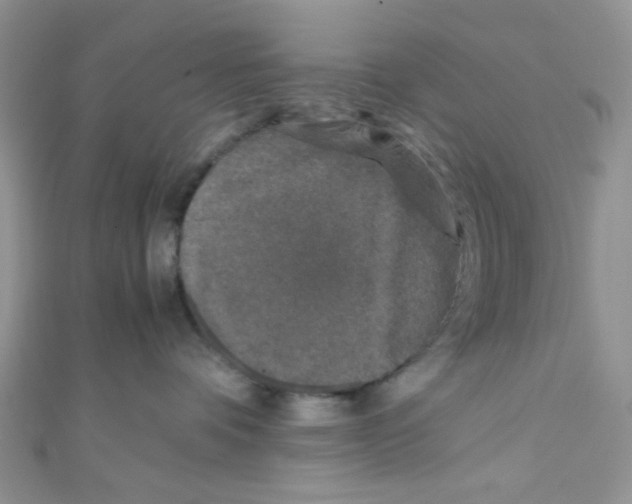X0000111010336200907171839