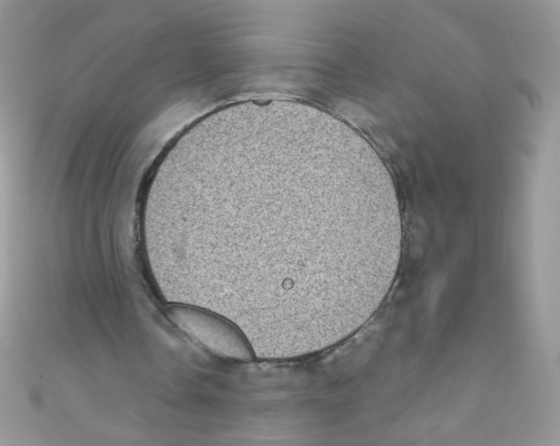 X0000111010338200907171839