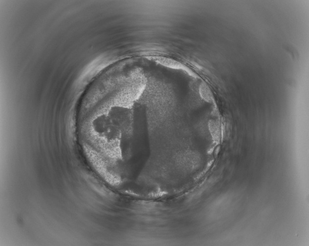 X0000111010339200907171839