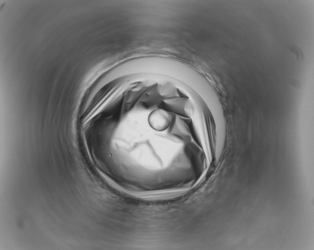 X0000111010340200907171839