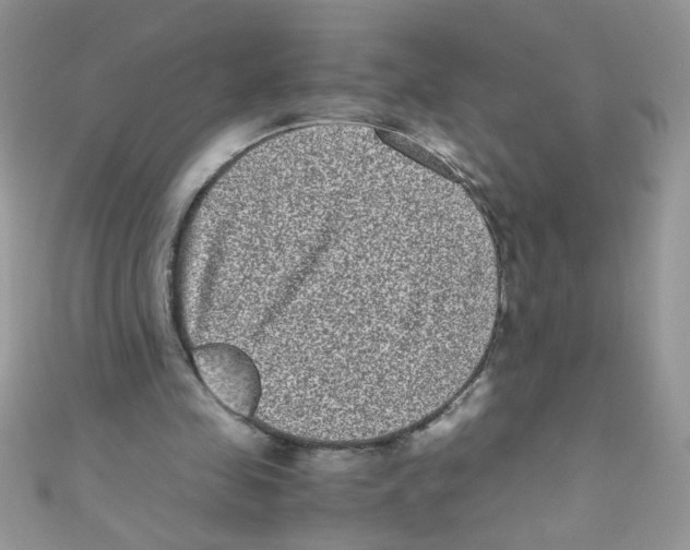 X0000111010341200907171839