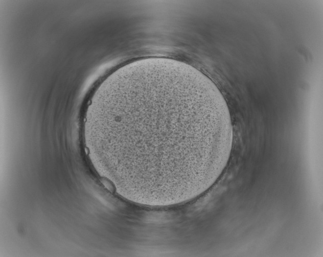 X0000111010342200907171839