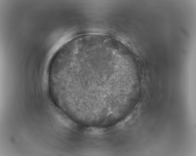 X0000111010343200907171839