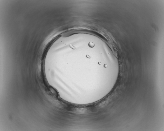 X0000111010344200907171839