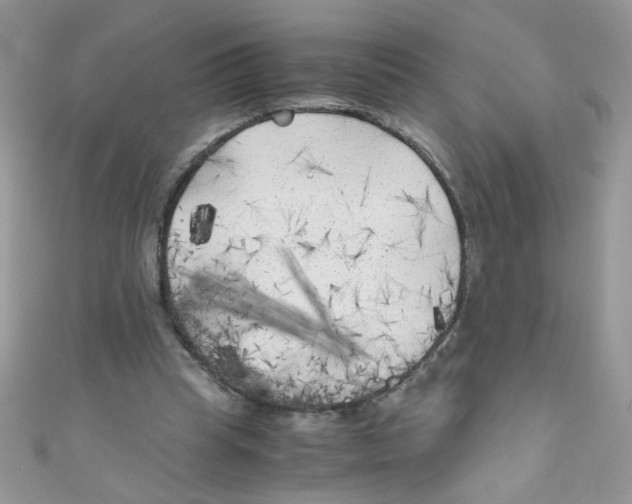 X0000111010345200907171839