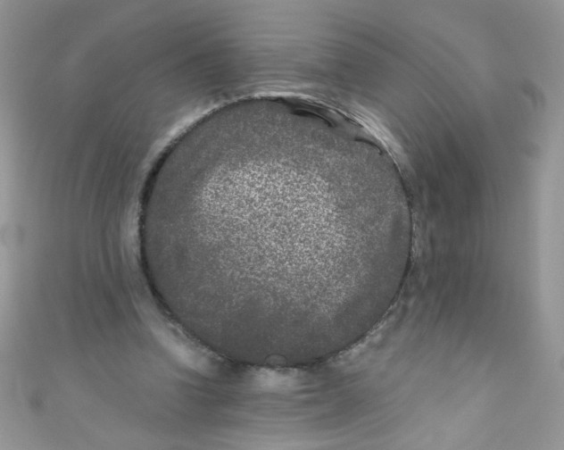X0000111010346200907171839
