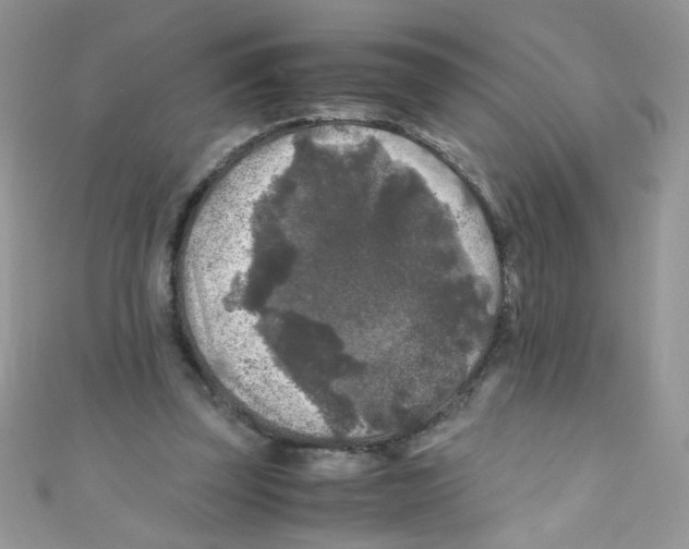 X0000111010347200907171839