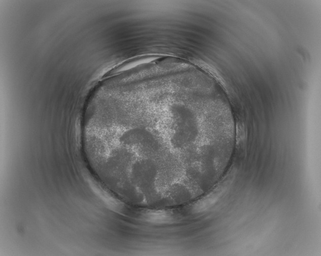 X0000111010349200907171839