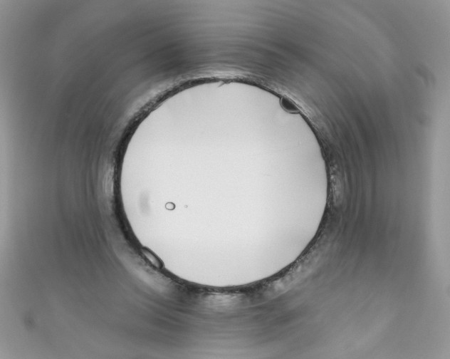 X0000111010350200907171839
