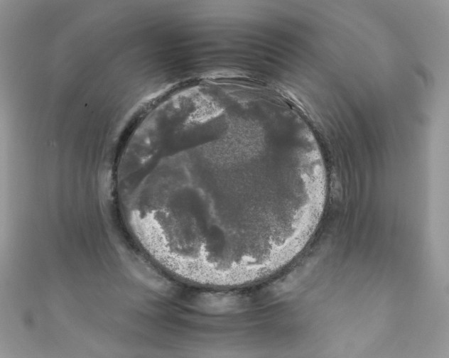 X0000111010351200907171839
