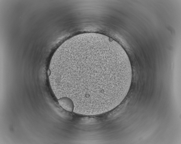 X0000111010354200907171839
