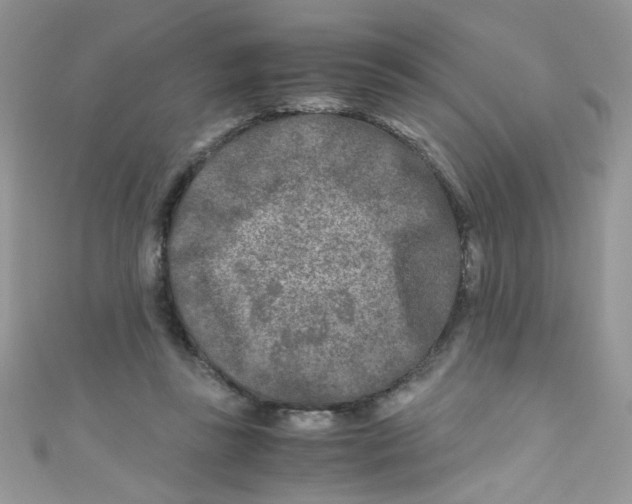 X0000111010355200907171839