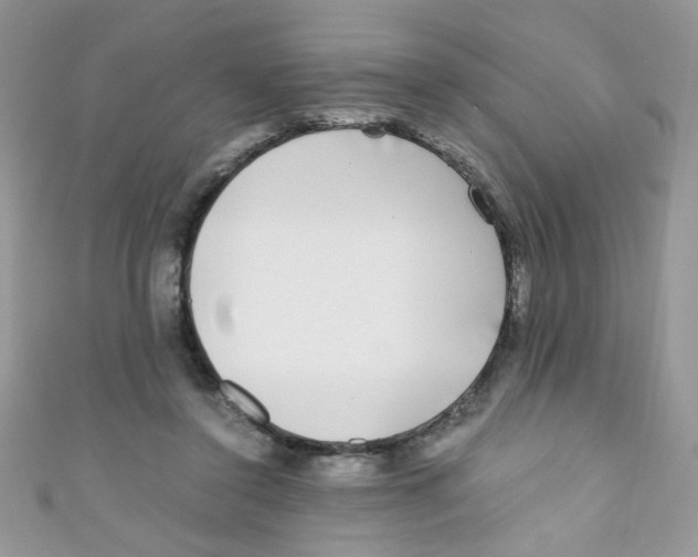 X0000111010356200907171839